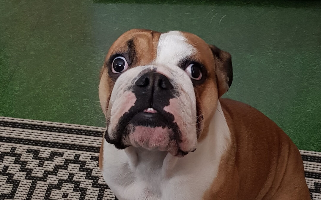 Ester 2025-03-19