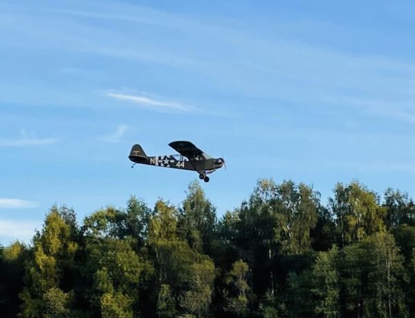 L4 Grashopper - Bild 7